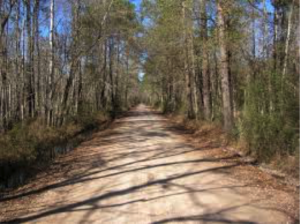 A view of a dirt road in Lumberton, TX where we provide senior care services.